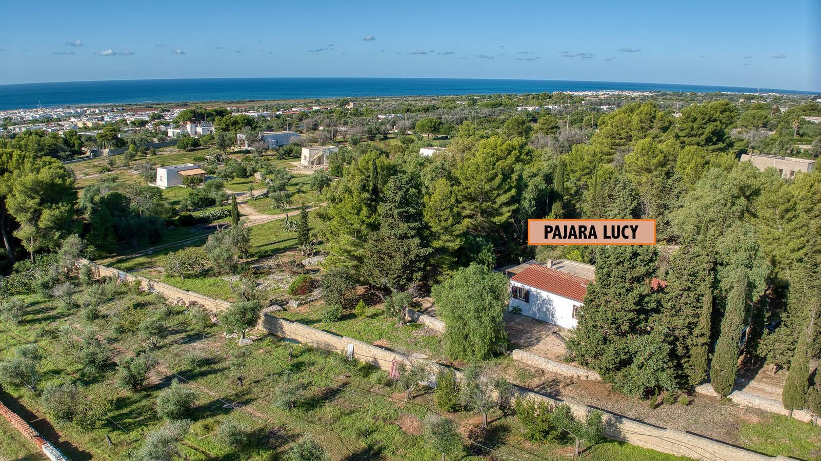 Mono Glicine – Sfeervol Studio aan de Salento-kust, foto 9