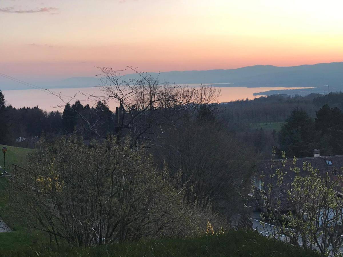 Petite maison à l'orée des bois vue sur le lac calme et zénitude in Belmont-sur-Lausanne, Lac Léman