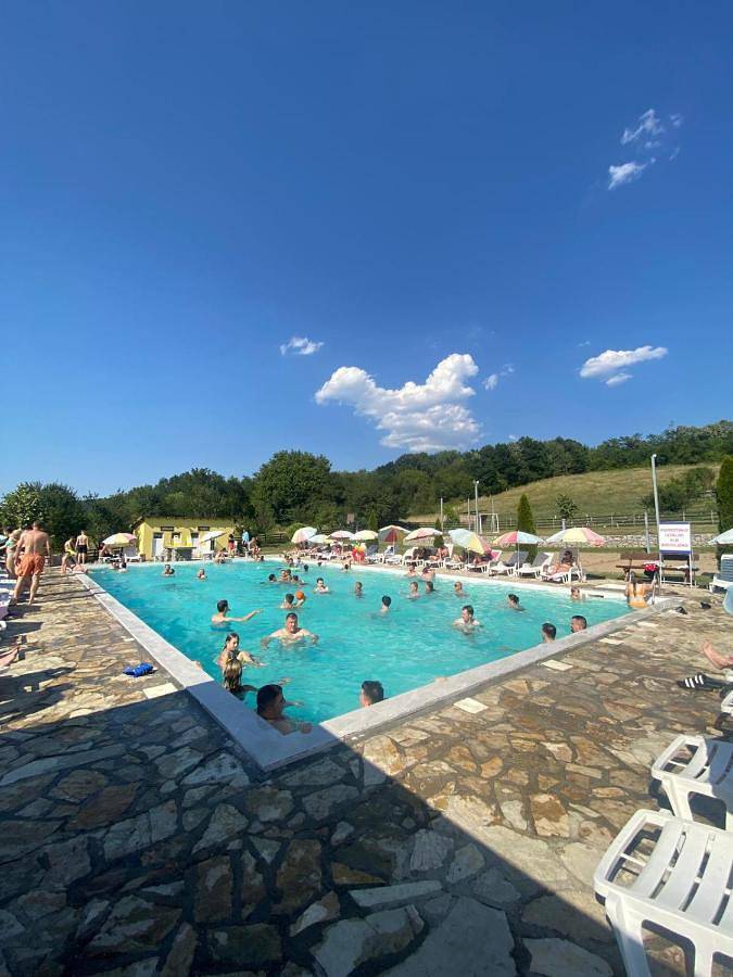 Location de vacances pour 3 personnes, avec jacuzzi ainsi que piscine et jardin à Despotovac - 4