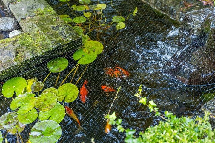 Villa pour 9 personnes, avec jardin, animaux acceptés dans Canada - 3