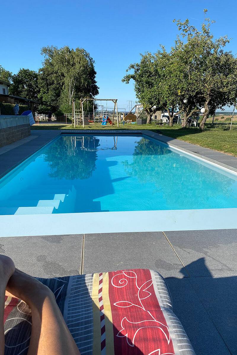 Western Riding Service - Reh in Bad Rappenau, Kraichgau