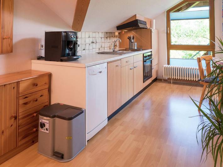 Ganze Wohnung, Apartment in Gütenbach with Garden, Garden Furniture, Bbq in Neueck (Furtwangen), Gütenbach