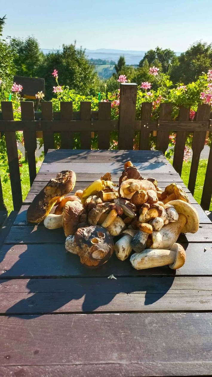 Ferienhaus für 10 Personen, mit Sauna und Garten, mit Haustier am Riesengebirge - 3