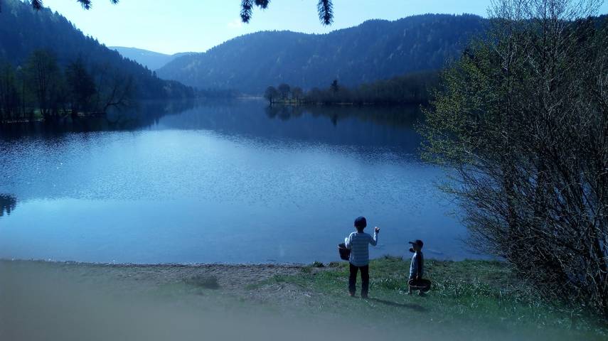 Chalet für 4 Personen, mit Haustier in den Vogesen - 3