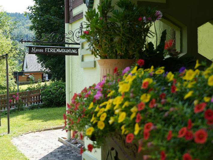 Ferienwohnung für 4 Personen, mit Terrasse in Bad Schandau - 3