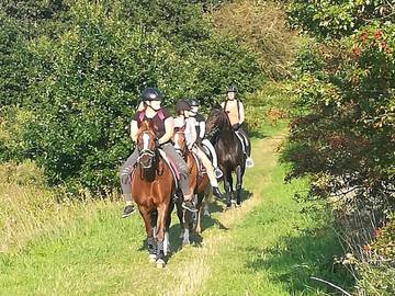 Ferienwohnung für 5 Personen in Selk, Haithabu, Bild 3