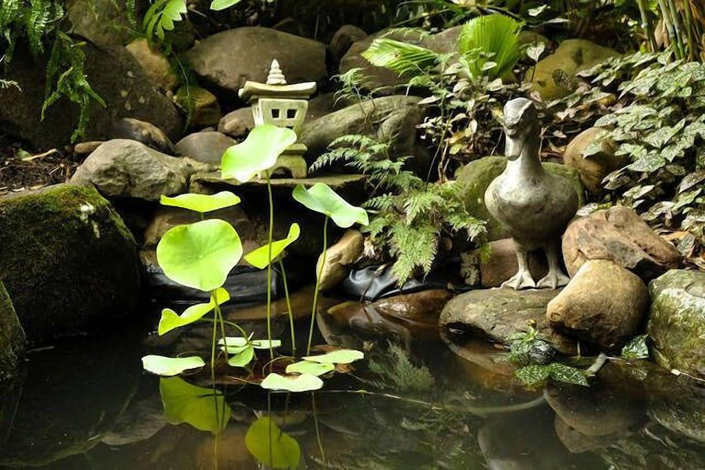 Am Ufer des Broughton Mill Creek und nur 450 m vom Stadtzentrum entfernt in Berry (NSW), New South Wales