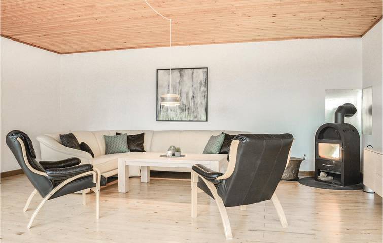 Ferienhaus für 12 Personen, mit Terrasse, mit Haustier an der Westküste Dänemarks - 3