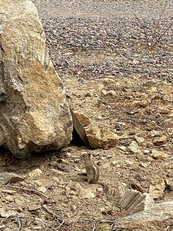 Ferienhaus für 7 Personen, mit Pool und Garten - 1