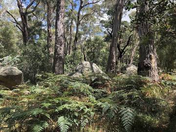 Holiday Home for 6 People in Halls Gap, Shire of Northern Grampians, Photo 2