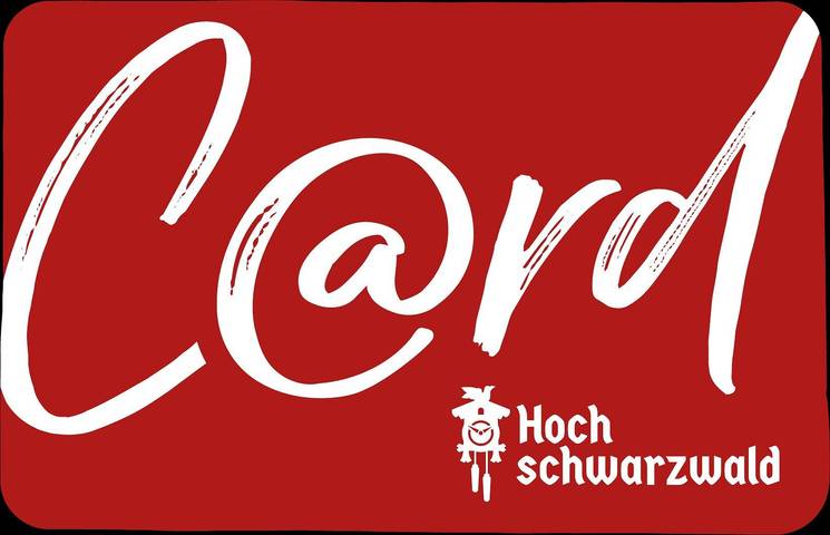Entire apartment, Apartment 'Fuchs und Has Feldberg' with Balcony, Garden Grill and Sauna in Altglashütten (Feldberg), Feldberg