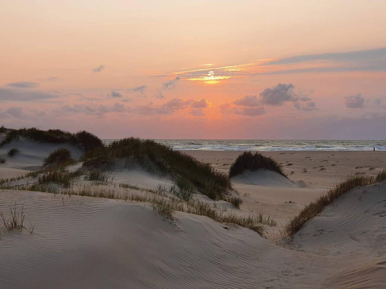 Moderne tilflukt naer Vadehavet in Sønderstrand, Tagholm