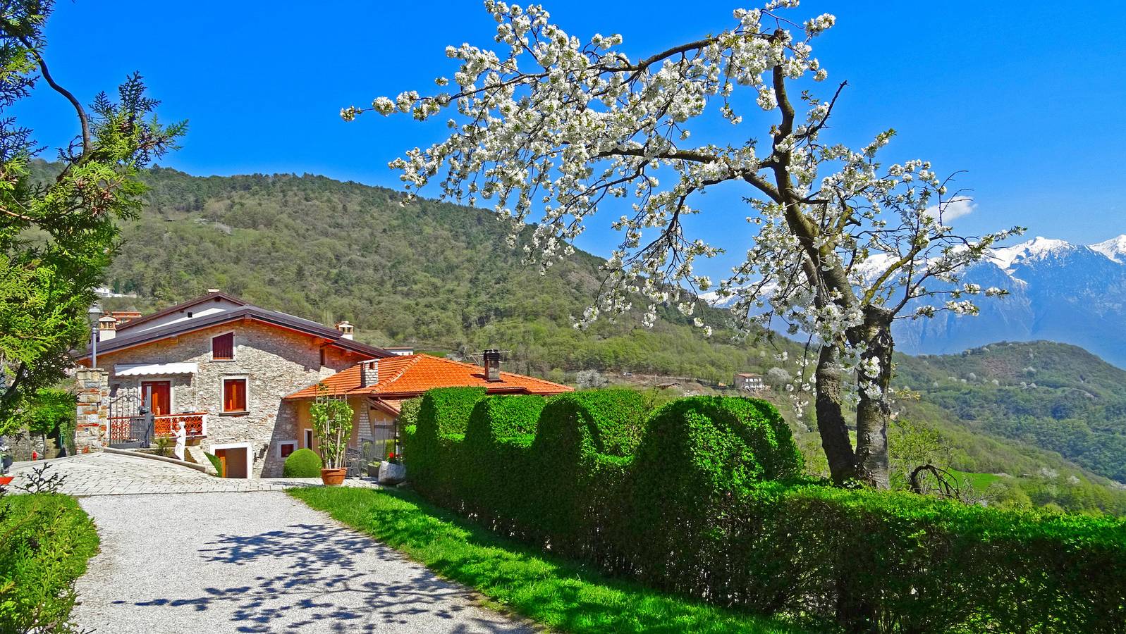Ganze Wohnung, Casa Belvedere Ciclamino 017189-Cni-00110 in Tremosine, Gardasee-Berge