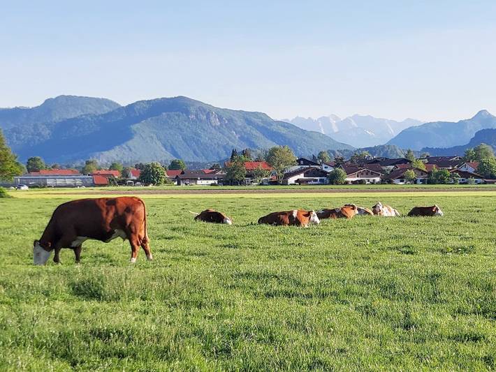 Bauernhaus für 4 Personen, mit Garten am Chiemsee - 2