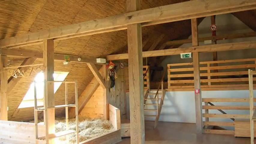 Ferienwohnung für 8 Personen, mit Garten in Putbus - 4