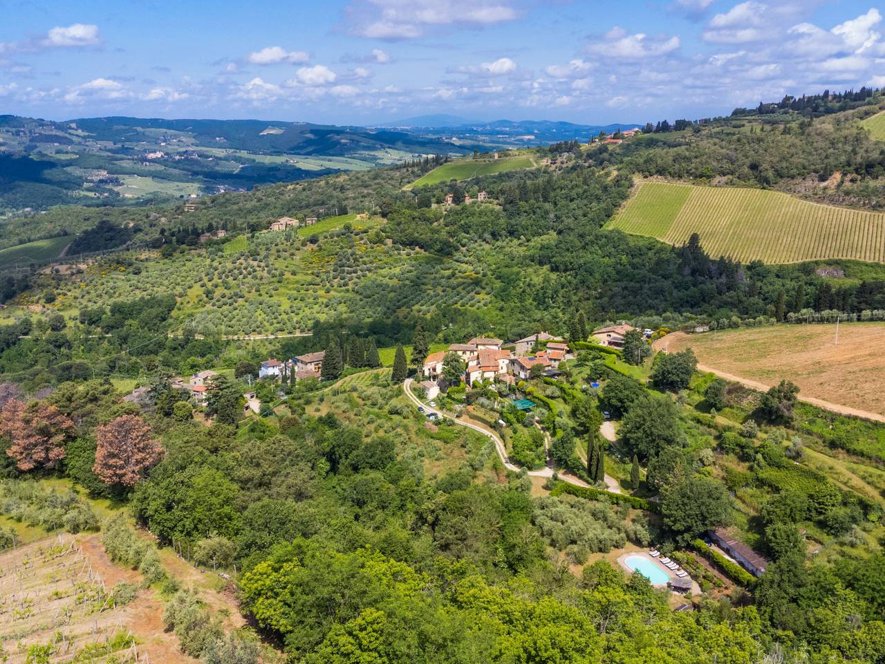 Ortensia in Greve In Chianti, Chianti