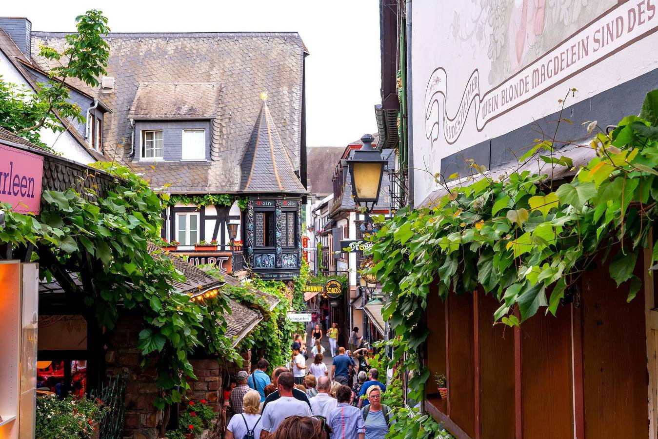 Ganze Ferienwohnung, Ferienwohnung an der Drosselgasse - Labed in Rüdesheim am Rhein, Rheingau-Taunus-Kreis