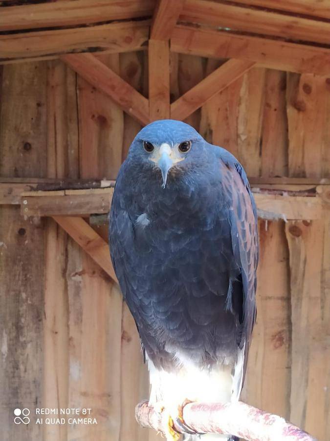 Chambre d’hôte pour 4 personnes, avec vue et jardin dans Sèvremont - 3