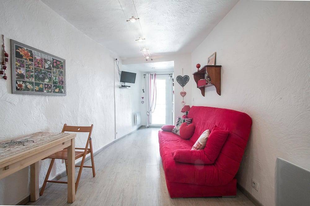 Ganze Wohnung, Neues Studio in der Mitte der Stadt in Saint-Martin-Vésubie, Nizza und Umgebung