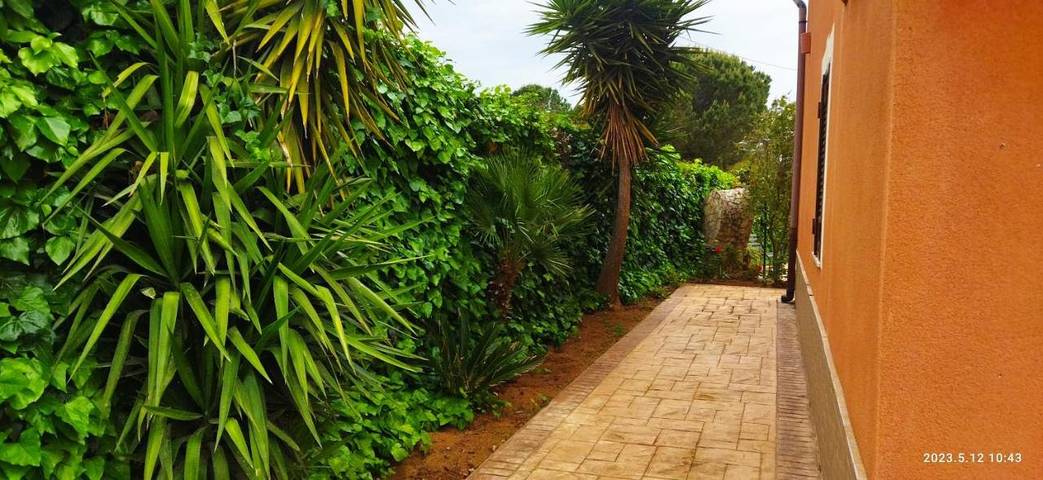 Location de vacances pour 4 personnes, avec vue et jardin à Mazzarino - 3