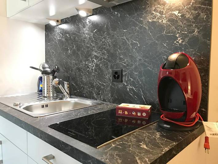 Location de vacances pour 3 personnes, avec jardin à Zurich - 4