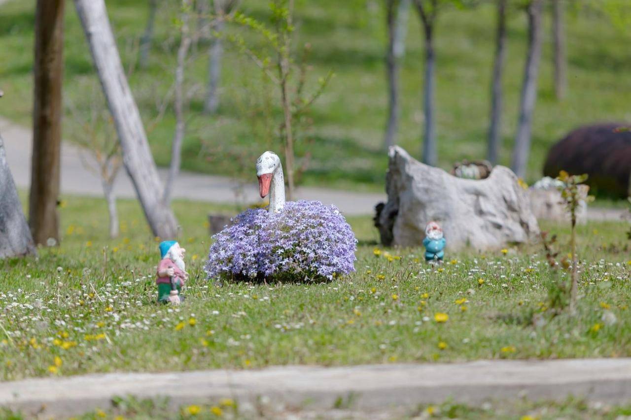 Peace of Nature in Région de Karlovac
