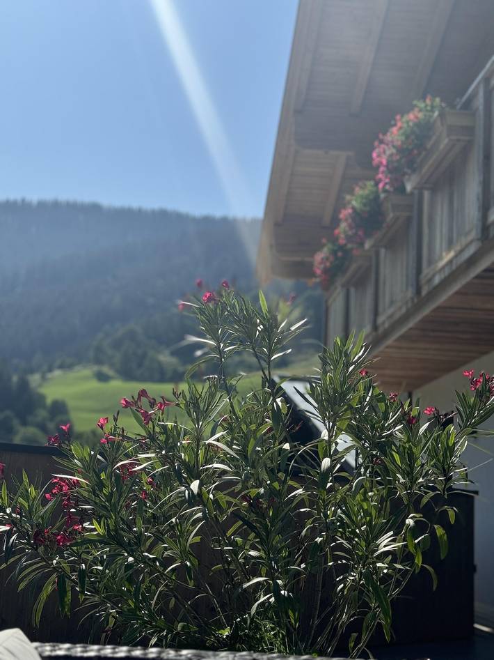 Ferienwohnung für 6 Personen, mit Terrasse in Dienten am Hochkönig - 3
