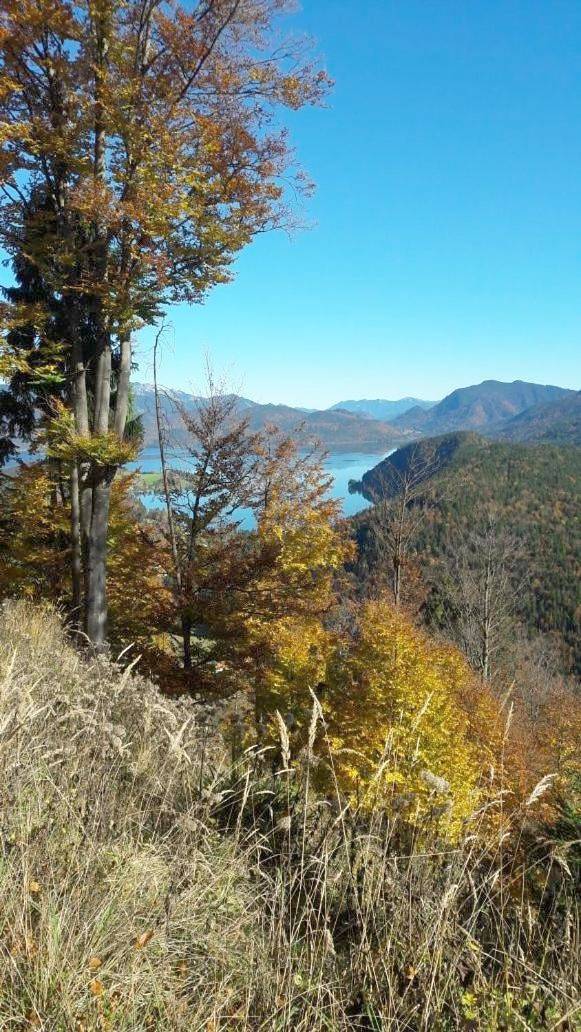 Appartement entier, Apartment in Jachenau, Walchensee