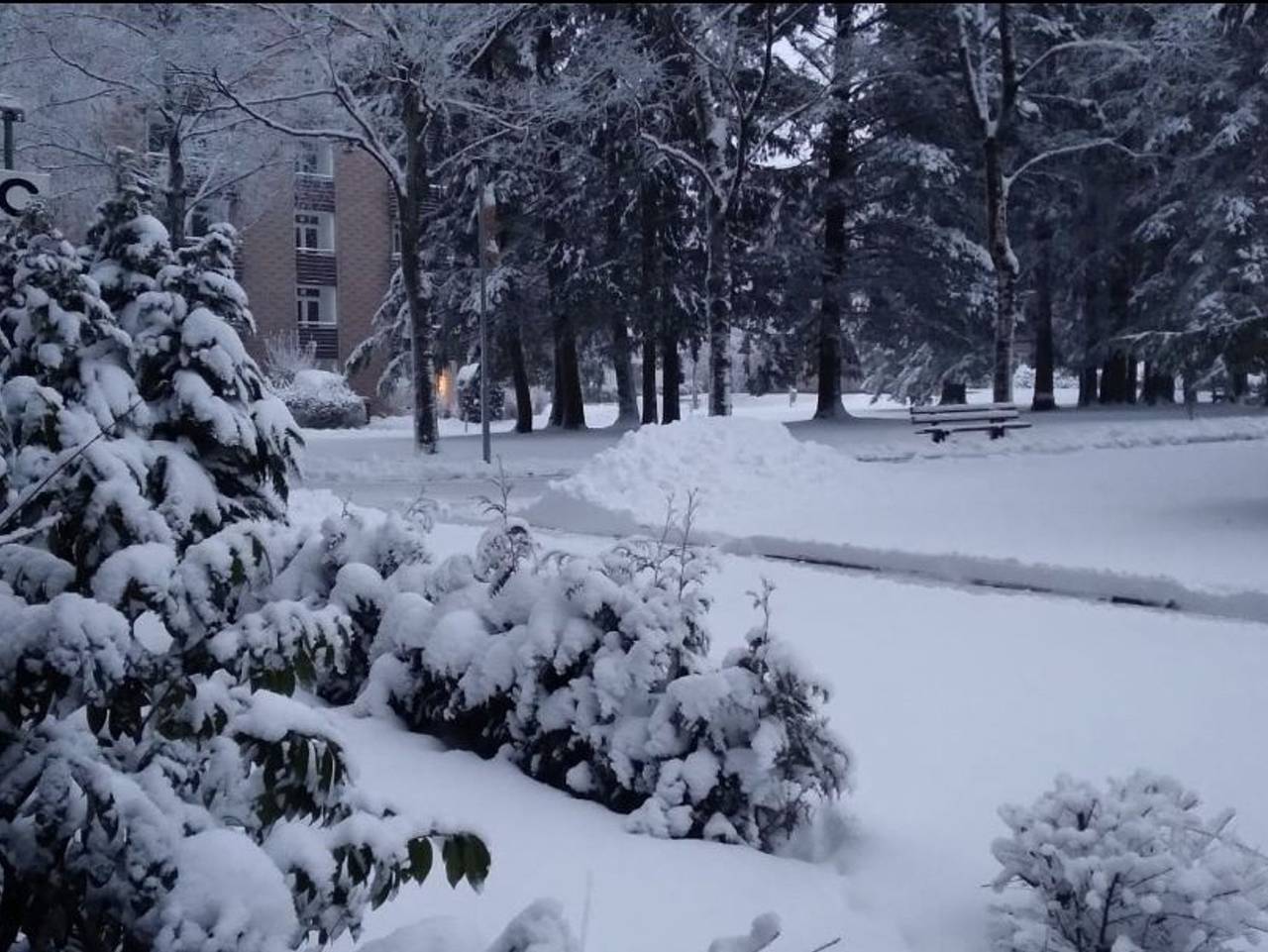 Ganze Ferienwohnung, Kleine Hexenresidenz in Altenau, Harzvorland