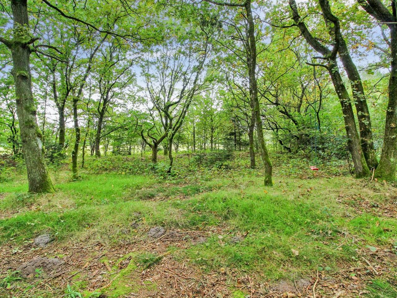 "Ellica" - 50km from the sea in Vesterlund, Vejle und Umgebung