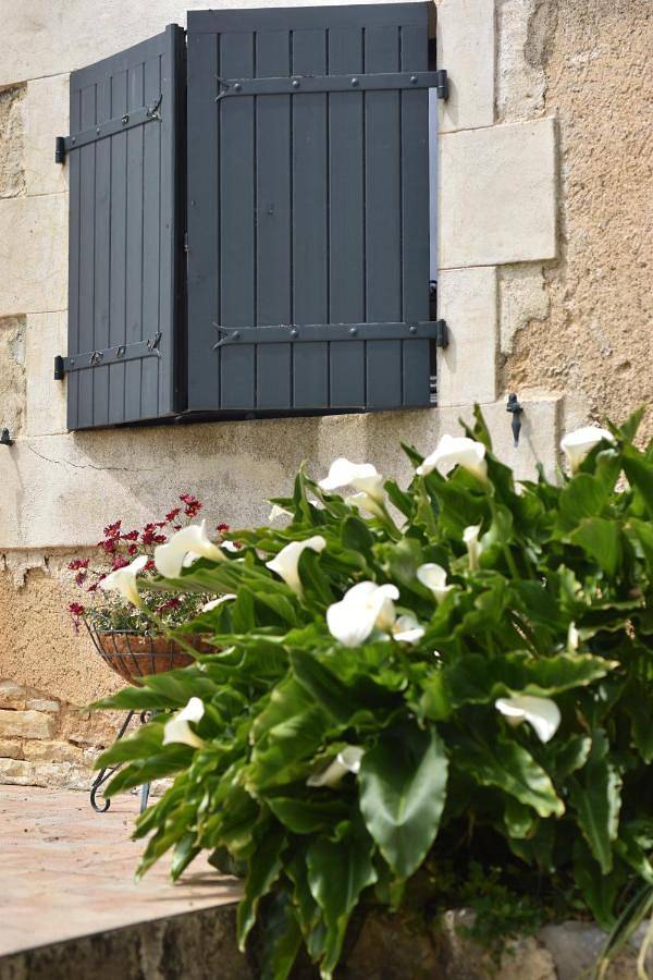 Un jardin et trois maisons in Brux, Vienne (France)