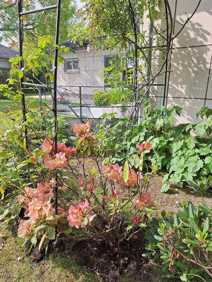 Maison d’hôte pour 2 personnes, avec vue et jardin à Waterloo