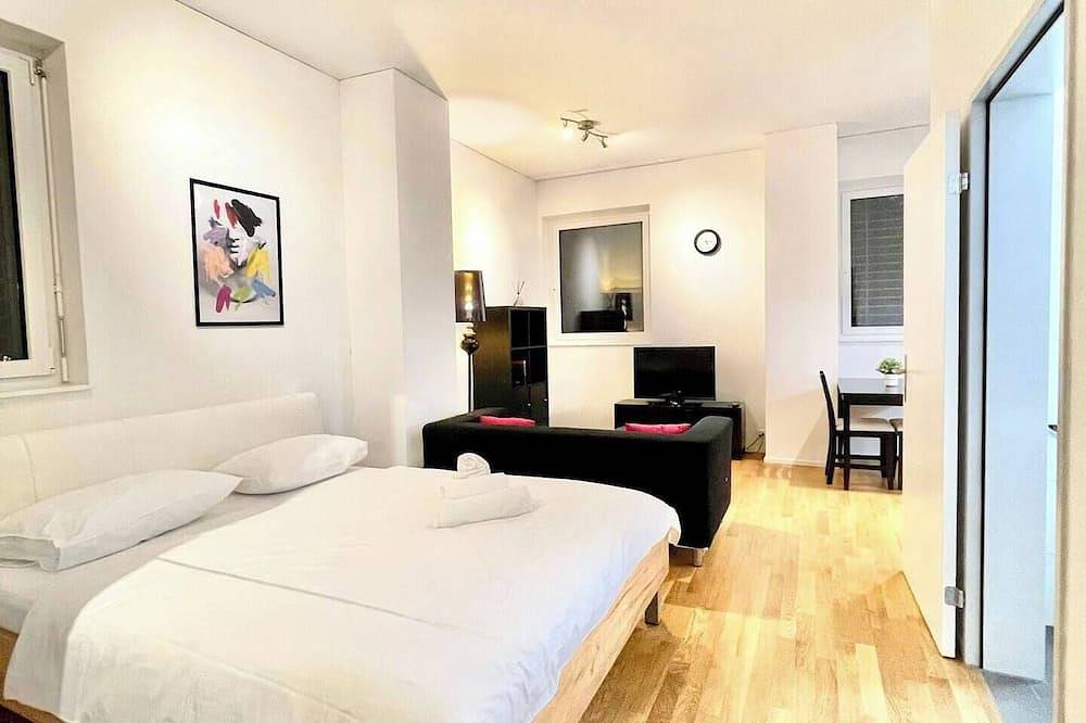 Entire apartment, Modern Cozy Studio in the City (Sh-0.4L) in Zurich, Zurich district