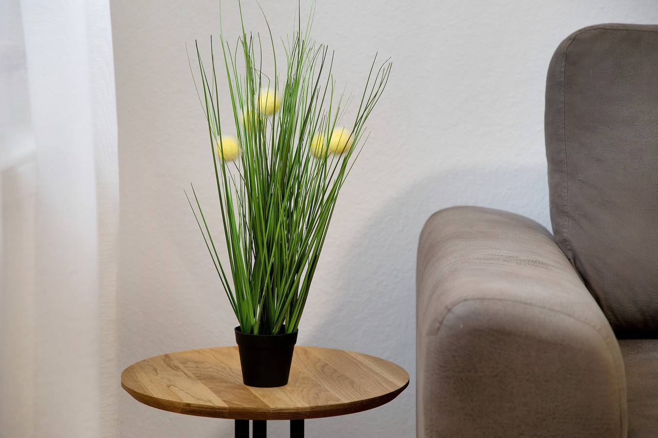 Ganze Wohnung, Ferienwohnung 'Studio Suite Fußgängerzone' mit Bergblick, Gemeinschaftsterrasse und Wlan in Göppingen, Landkreis Göppingen