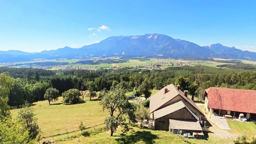 Ferienwohnung für 4 Personen, mit Seeblick und Garten sowie Sauna, mit Haustier - 1
