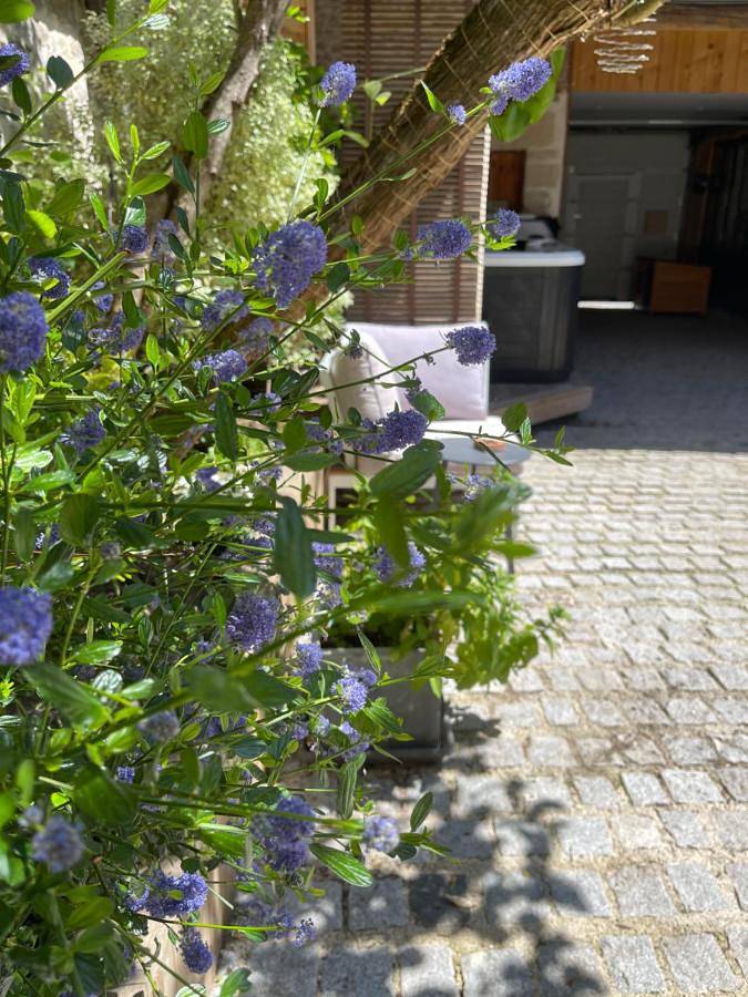 Appartement entier, La Cour aux Bulles in Trigny, Marne