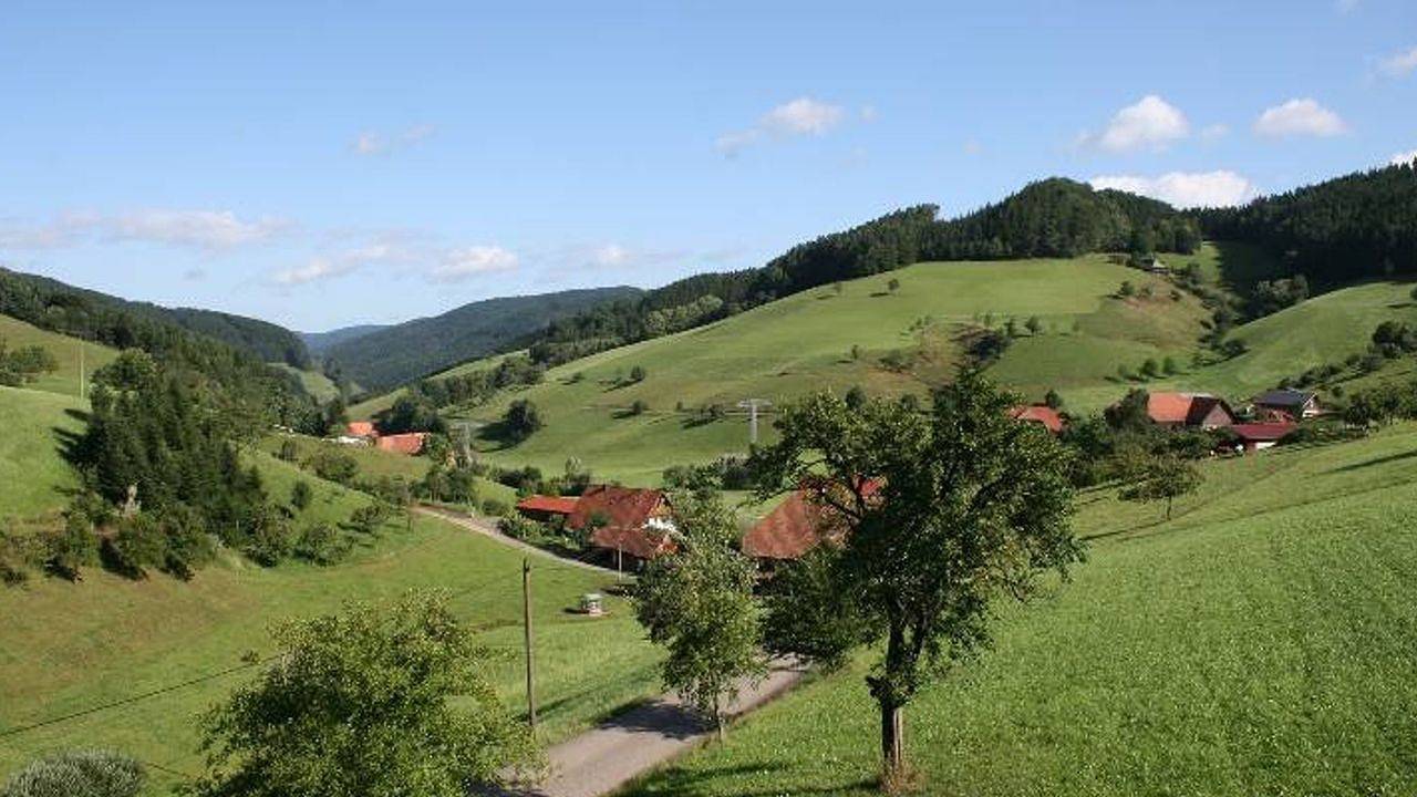 Ganze Ferienwohnung, Ferienwohnung für 4 Personen (70 m²) in Mühlenbach in Mühlenbach, Mittlerer Schwarzwald