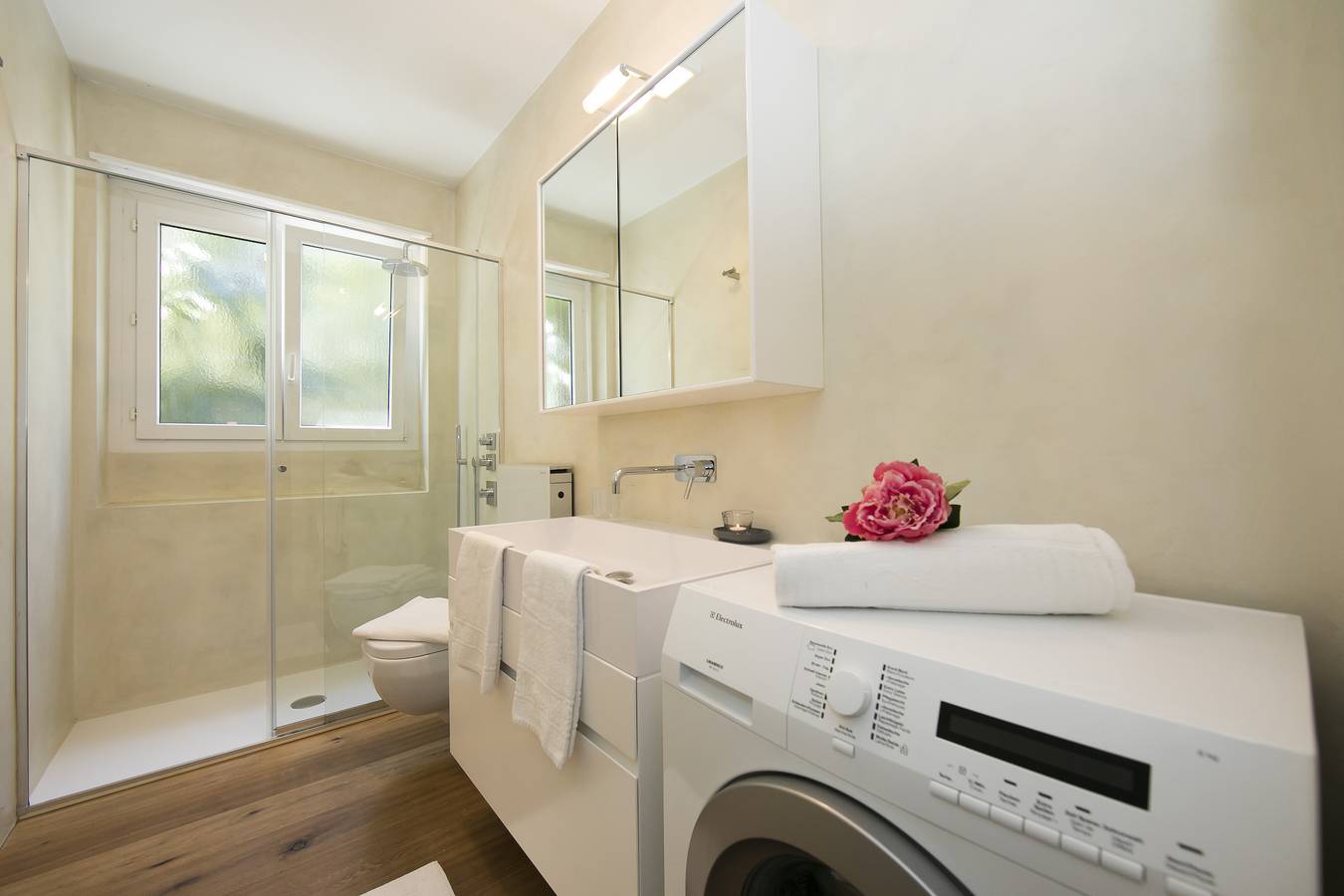 Appartement entier, Charm apartment in Ascona, Alpes tessinoises