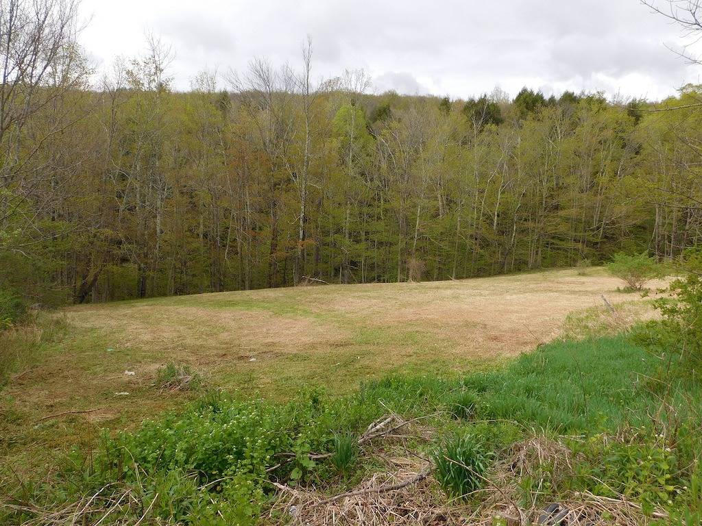 Catskill Mountain Retreat --- Großartige Lage, sehr privat, Hugh Deck, Whirlpool in Catskill Mountains