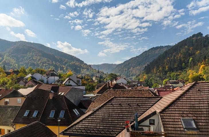 Location de vacances pour 6 personnes, avec vue et jardin, animaux acceptés dans Poiana Brasov - Brasov - 4
