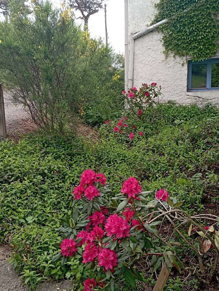 Chambre d’hôte pour 2 personnes, avec piscine ainsi que jardin et jacuzzi, animaux acceptés dans la Loire - 3