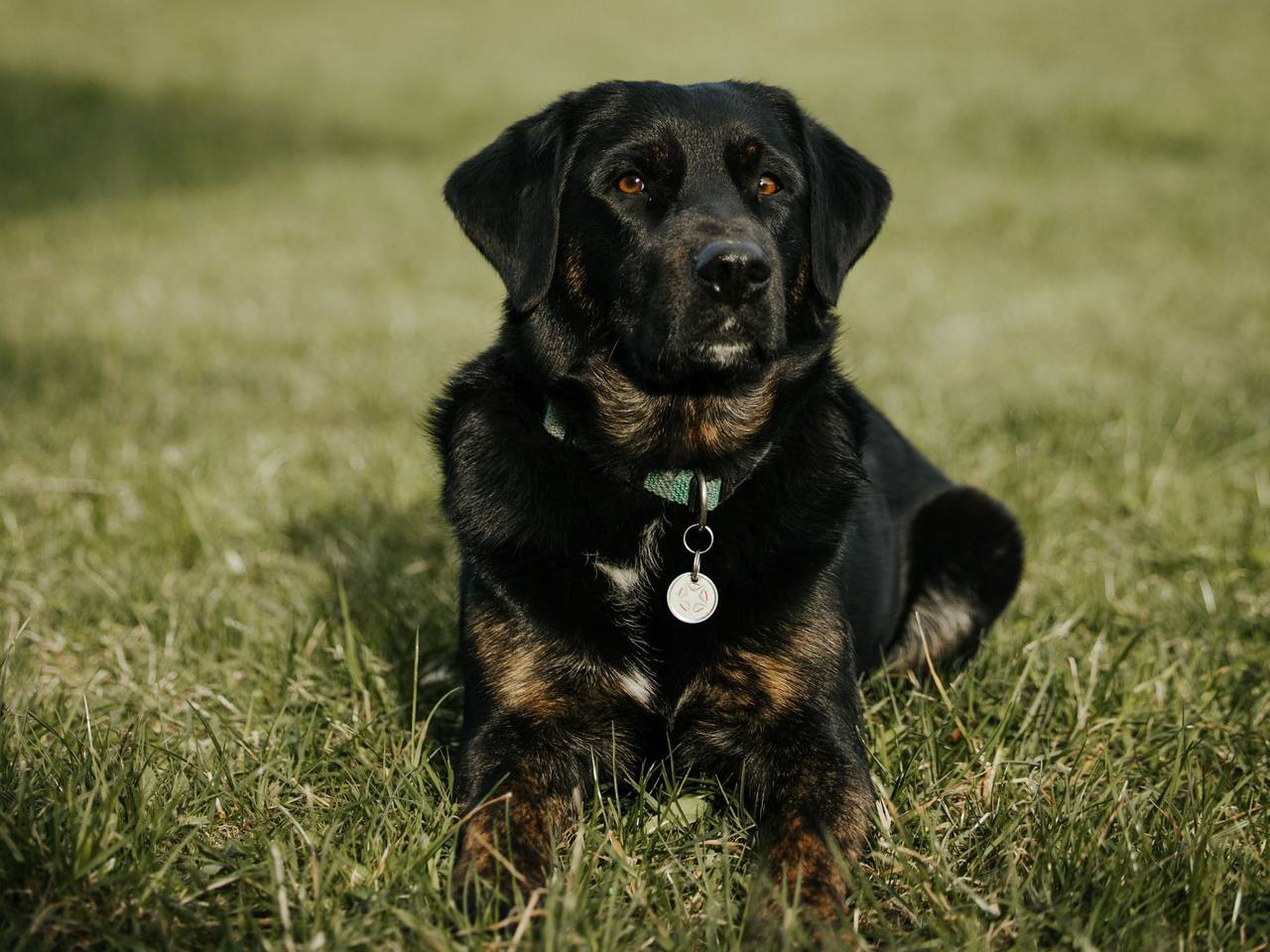 Apartamento entero, Hof Obertalgut in Lago de Thun
