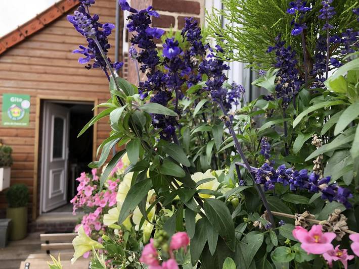 Gîte pour 2 personnes, avec terrasse à Eu - 4