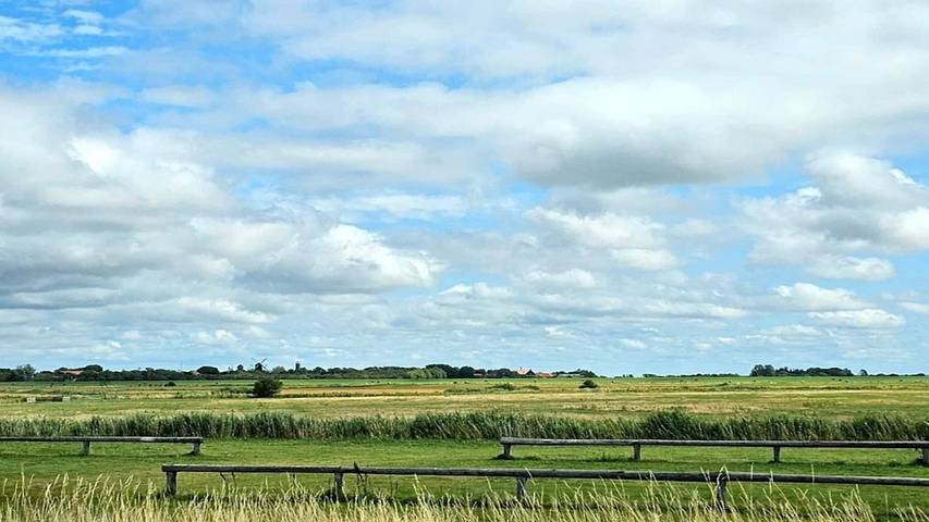 Ferienhaus für 5 Personen, mit Haustier in Højer - 2
