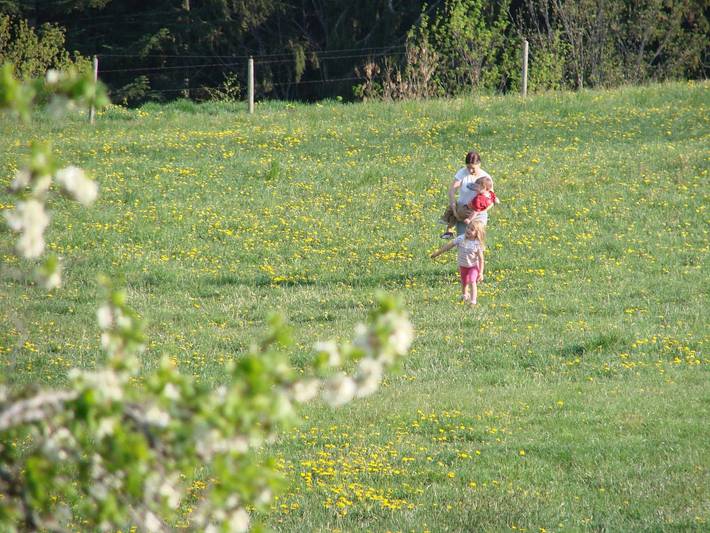 Ferienhaus für 6 Personen, mit Balkon und Garten in der Oststeiermark - 4
