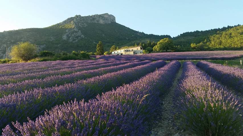 Gîte pour 5 personnes, avec jardin à Saint-May