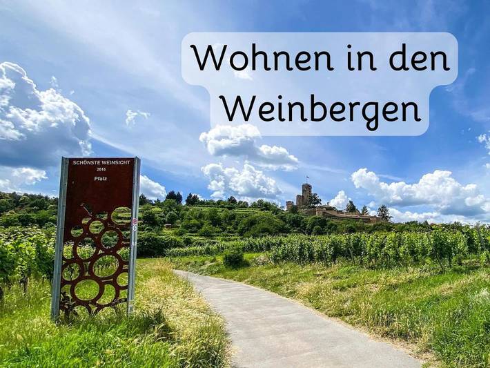 Ferienwohnung für 3 Personen in Wachenheim