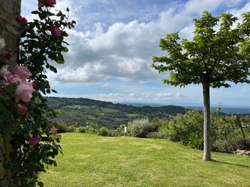 Villa para 6 Pessoas em Riparbella, Pisa (província), Foto 4