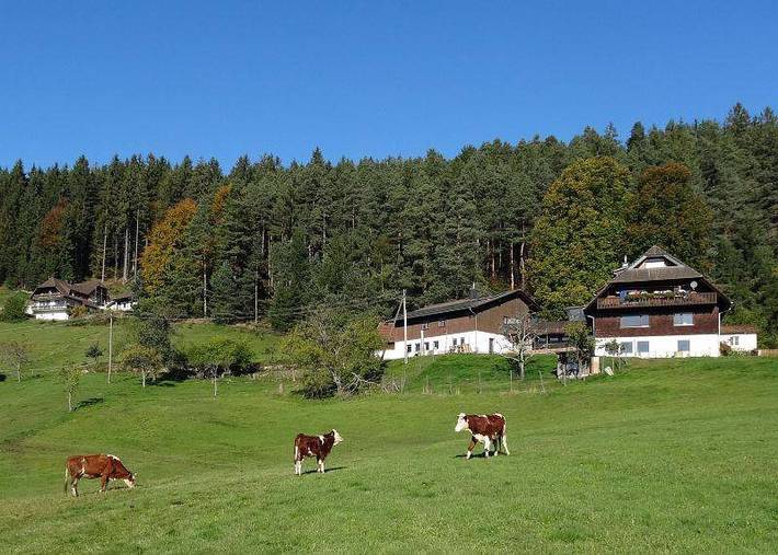 Gîte pour 2 personnes, avec terrasse et balcon/terrasse à Schramberg