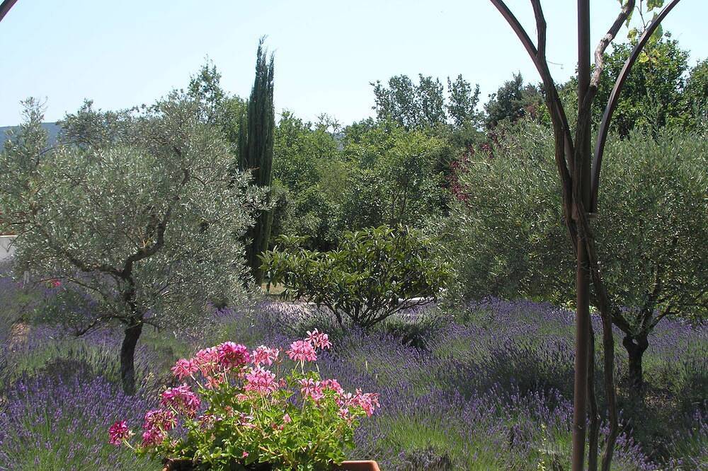 Charme double climatisée Tournesol-Terrasse-Lacoste Luberon Provence in Lacoste, Parc naturel régional du Luberon